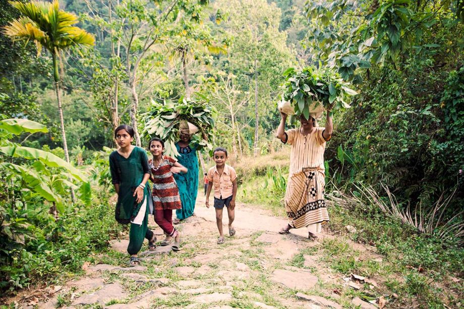 Human Be's in Indien